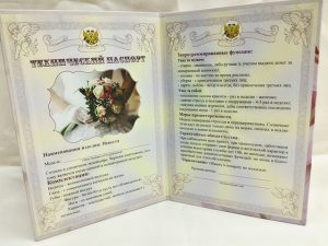 диплом технический паспорт невесты2